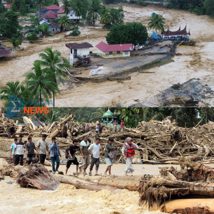 Darurat! Bencana Sumatera 2025 Tewaskan Ratusan Warga